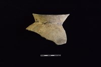 陶罐藏品圖，第1張